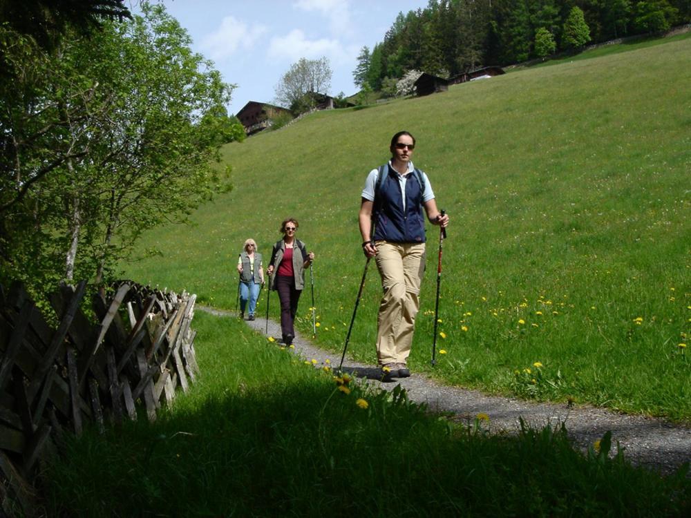 Hotel Gasthof Kroell - Inkl Nationalpark-Karte, 1 X Grossglockner Hochalpenstrasse Kostenlos, 1X Gerlos Alpenstrasse Kostenlos, Krimmler Wasserfaelle Kostenlos, Verschiedene Bergbahnen Kostenlos, Badesee Kostenlos, Bus & Zug Kostenlos, Genusskueche, Нидернзилль Экстерьер фото