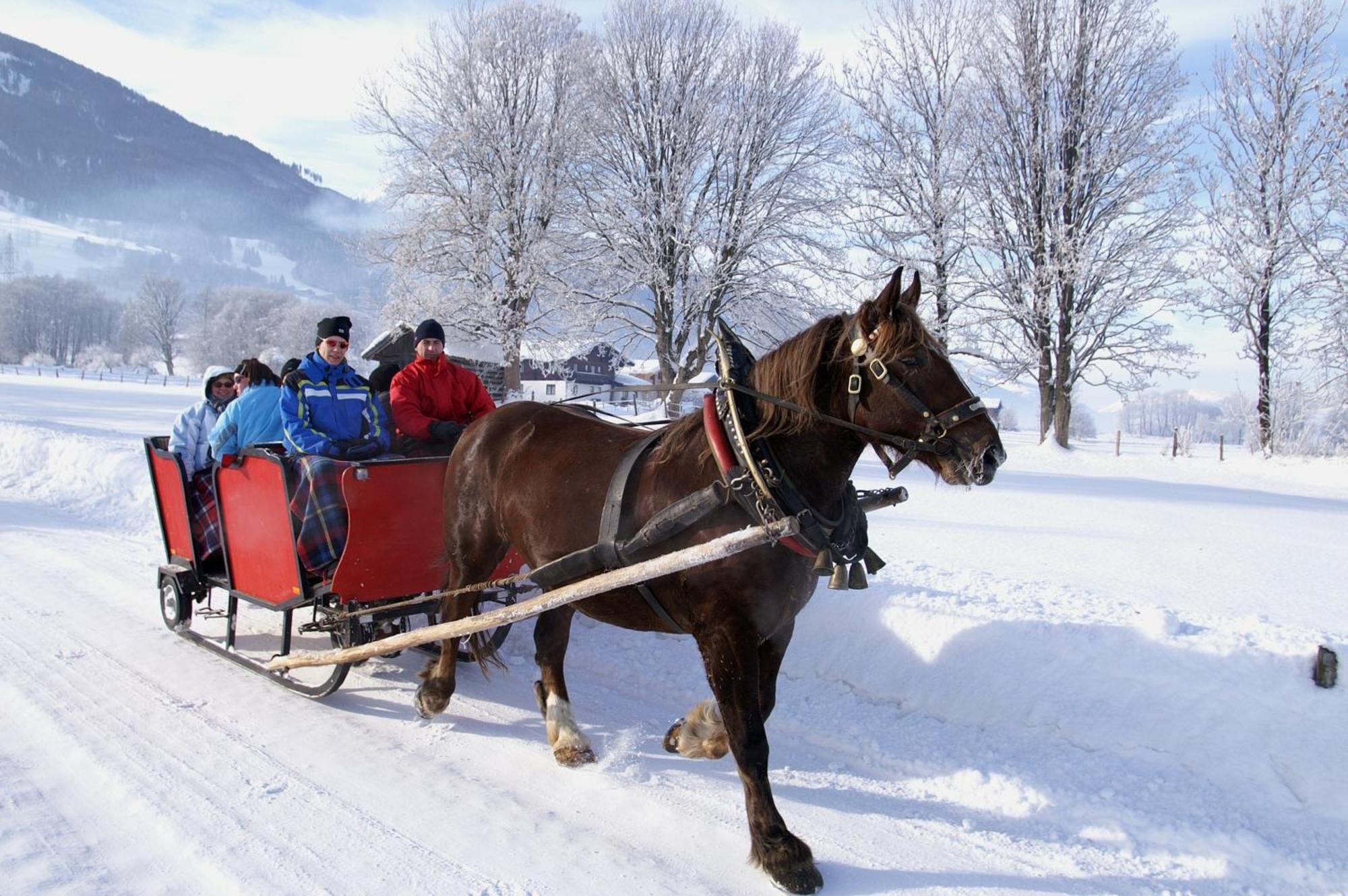 Hotel Gasthof Kroell - Inkl Nationalpark-Karte, 1 X Grossglockner Hochalpenstrasse Kostenlos, 1X Gerlos Alpenstrasse Kostenlos, Krimmler Wasserfaelle Kostenlos, Verschiedene Bergbahnen Kostenlos, Badesee Kostenlos, Bus & Zug Kostenlos, Genusskueche, Нидернзилль Экстерьер фото