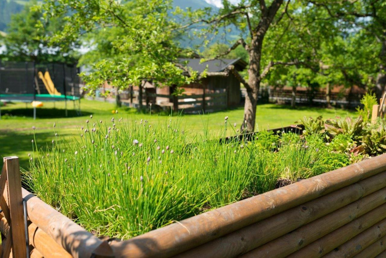Hotel Gasthof Kroell - Inkl Nationalpark-Karte, 1 X Grossglockner Hochalpenstrasse Kostenlos, 1X Gerlos Alpenstrasse Kostenlos, Krimmler Wasserfaelle Kostenlos, Verschiedene Bergbahnen Kostenlos, Badesee Kostenlos, Bus & Zug Kostenlos, Genusskueche, Нидернзилль Экстерьер фото